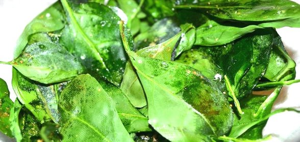 Чипсы из шпината