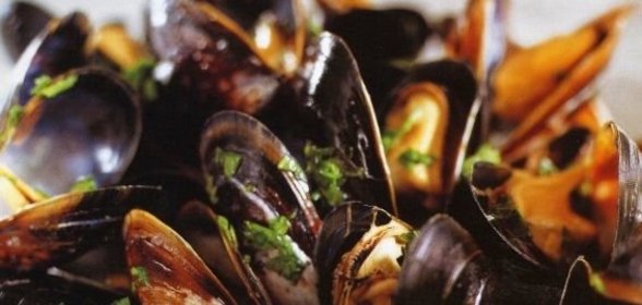 Омлет-завиванец