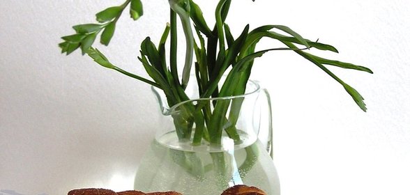 Обед Дракулы