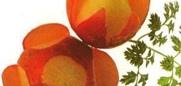 УКРАШЕНИЕ БЛЮД: ЦВЕТЫ ИЗ РЕДИСА