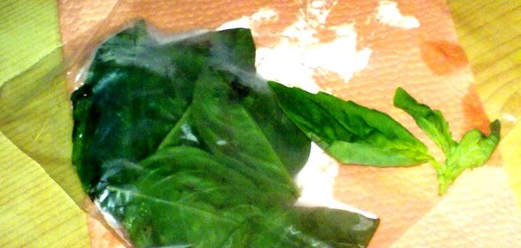 Базилик замороженный