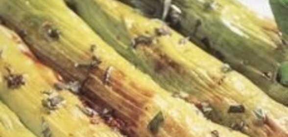 Котлеты из трех видов мяса