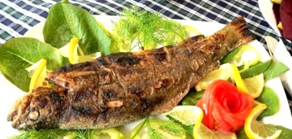 Форель севанская