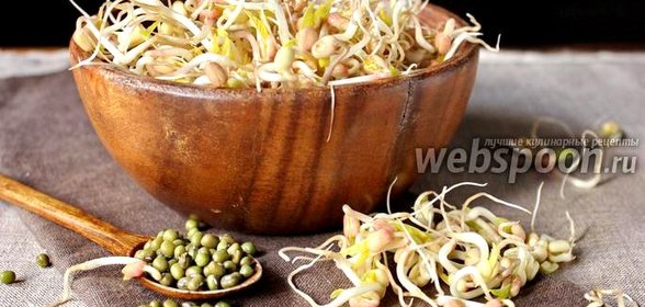 Ростки маша