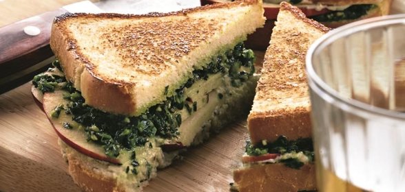 Балинезийский петух