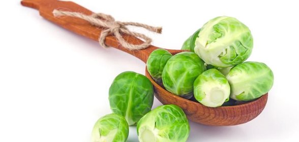 Брюссельская капуста с белым соусом с сыром
