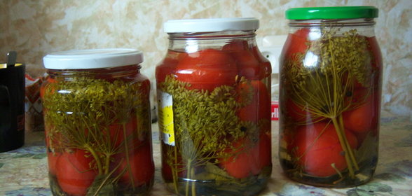 Помидорки маринованные