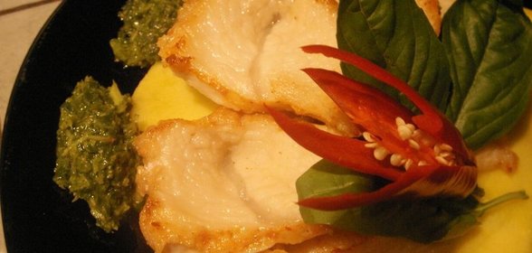 Крокодил с манго и соусом из базилика