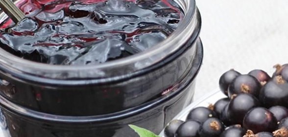 Варенье из черной смородины пятиминутка желе
