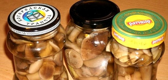 Закатка грибов на зиму