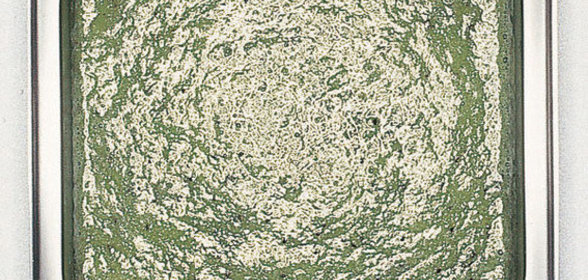 Соус из киви