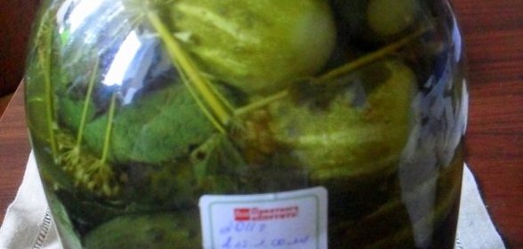 Маринованные огурцы