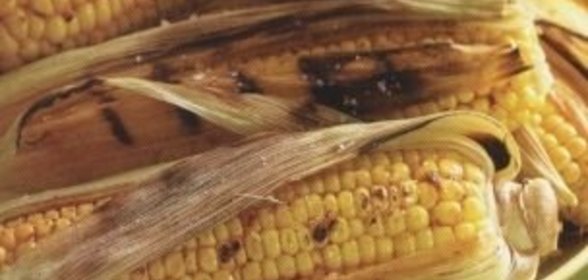 Запеканка из говяжьей тушенки