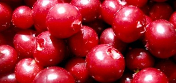моченая брусника к мясу
