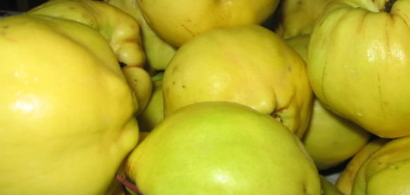 Кабачки, тушеные со сливочным масло и сметаной