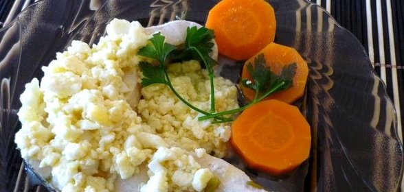 Судак Радзвилл