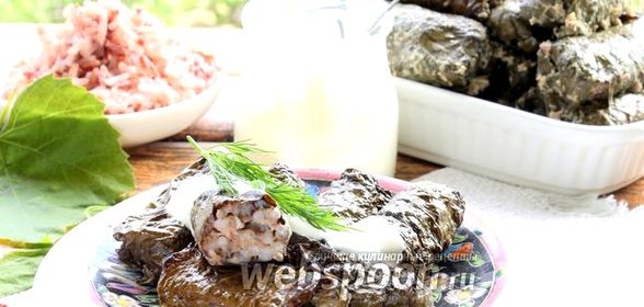 Долма с красным рисом и барбарисом