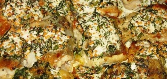 Молодые кабачки