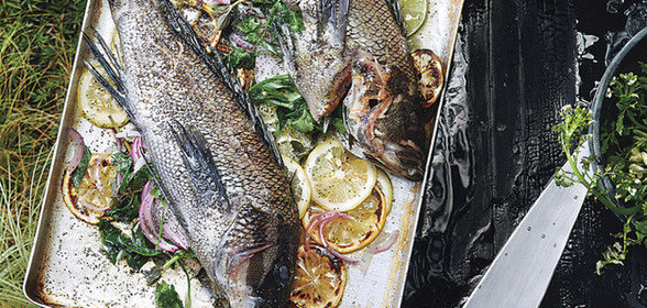 Сибас-гриль с цитрусовой заправкой