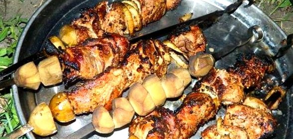 Шашлык в коптильне
