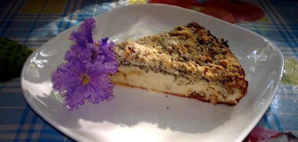 Запеканка творожная с изюмом шоколадом и маковым штрейзелем