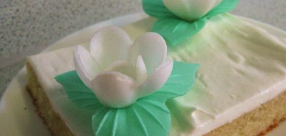 Шашлык из баранины с картофелем