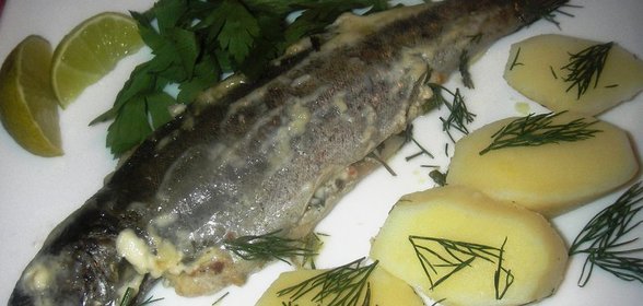 Форель запеченная с козьим сыром и зеленью