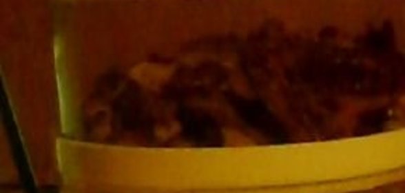 Биточки из гречневой каши