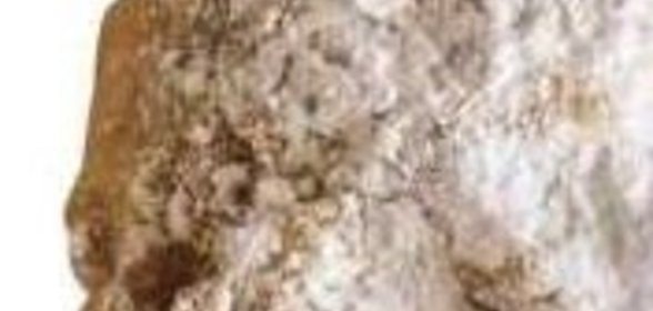 Брусничный соус