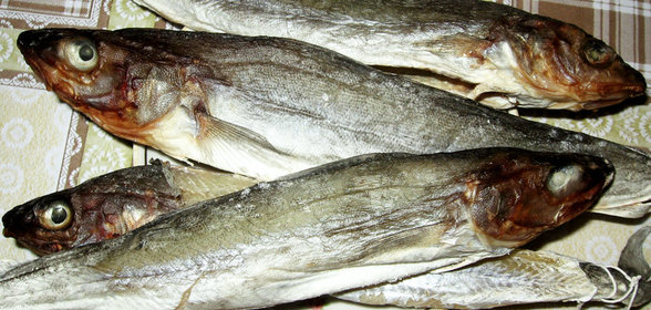 Жаренные баклажаны под грибы