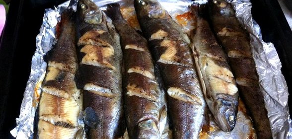 Речная форель в фольге
