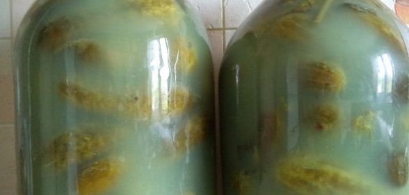 Хрустящие малосольные огурцы на зиму