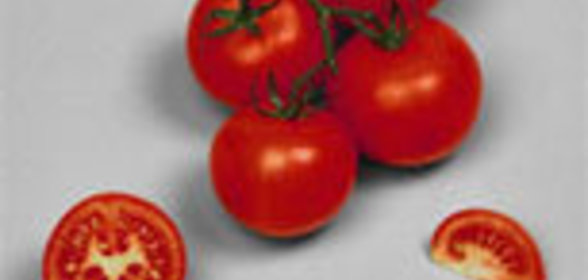 Томатный соус с имбирем