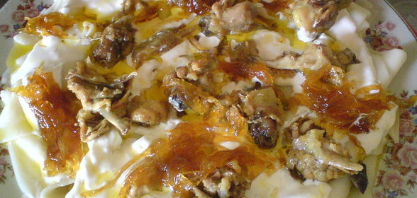 Хингял по-азербайджански