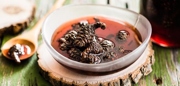 Варенье из сосновых шишек