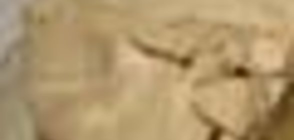 Яичница с окропом