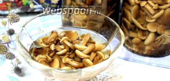 Опята в сладком маринаде