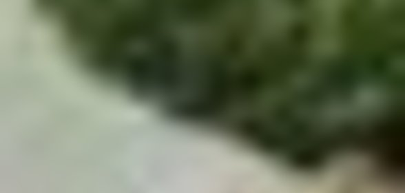 Брокколи с лимонной заправкой