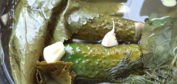 Малосольные огурцы (бабушкин рецепт)