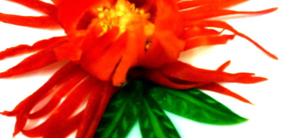 ЦВЕТОК ИЗ ПЕРЦА