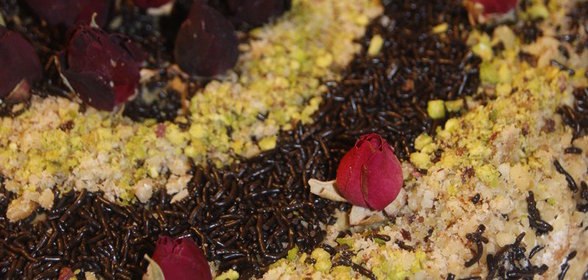 Торт Сметанник для Анны