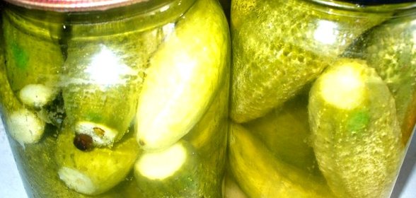 Закатка огурцов по-болгарски
