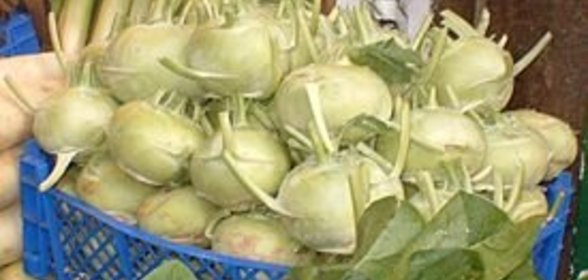 Кольраби фаршированые