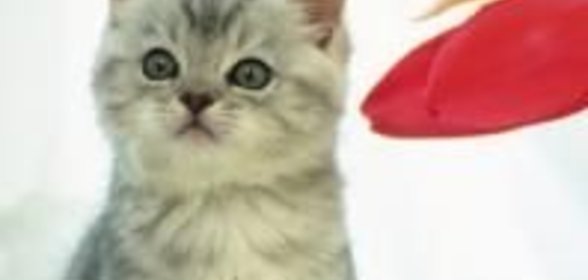 Заправка № 4