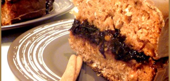 КОВРИЖКА сливовая с черносливом