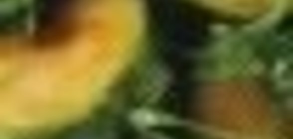 Зразы мясные паровые