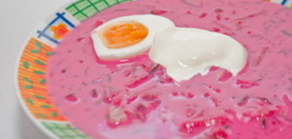 Холодник белорусский