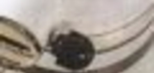 Соус с грибами, языком и ветчиной