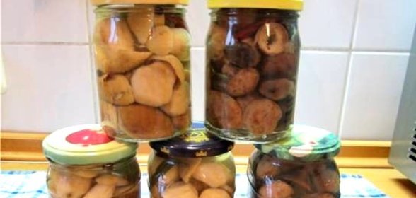 Маринованные белые грибы с корицей