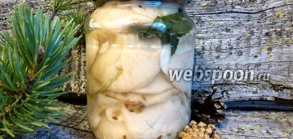 Солёные грузди (холодный способ)